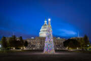 The U.S. Capitol Christmas Tree is a time-honored tradition of more than 50 years. Once decorated, the tree will be lit from nightfall until 11:00 p.m. each evening through January 1, 2022.

