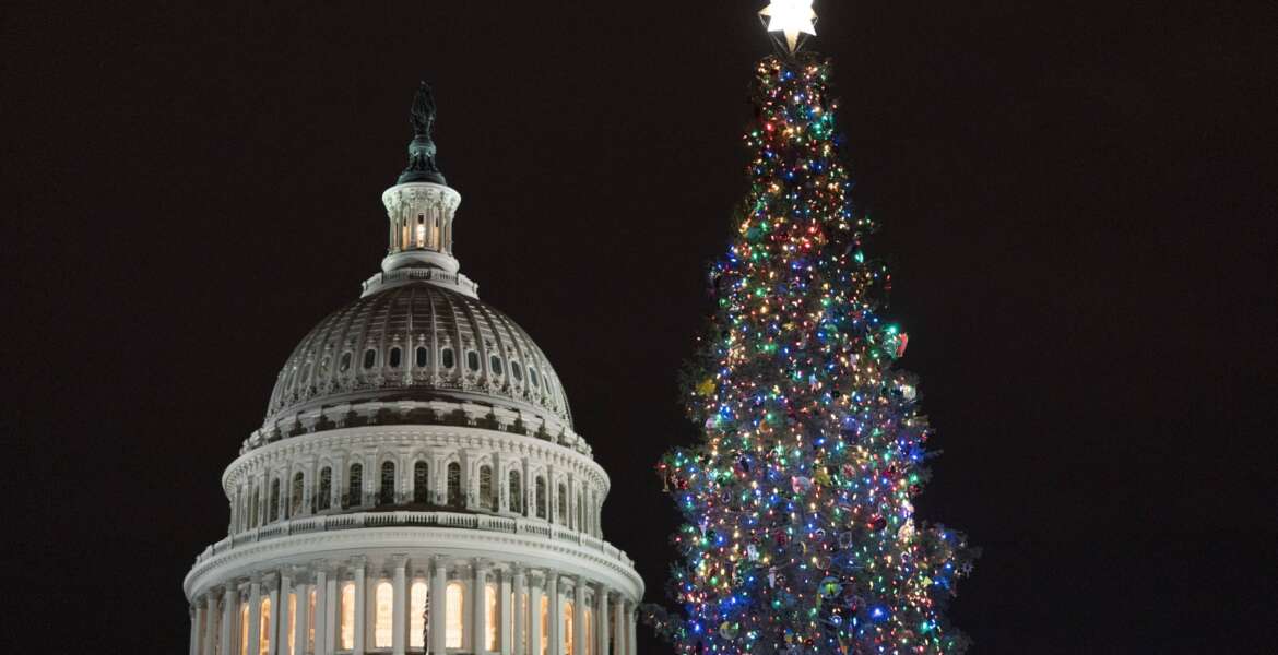 The 2021 U.S. Capitol Christmas Tree is lit after a ceremony on the West Front Lawn of Capitol Hill in Washington, Wednesday, Dec. 1, 2021. This year's tree is a white fir from the Six Rivers National Forest in California. The tradition of decorating U.S. Capitol Christmas Tree dates back to 1964. (AP Photo/Manuel Balce Ceneta)