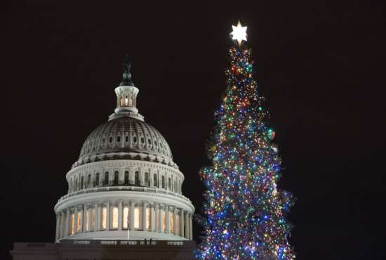The 2021 U.S. Capitol Christmas Tree is lit after a ceremony on the West Front Lawn of Capitol Hill in Washington, Wednesday, Dec. 1, 2021. This year's tree is a white fir from the Six Rivers National Forest in California. The tradition of decorating U.S. Capitol Christmas Tree dates back to 1964. (AP Photo/Manuel Balce Ceneta)