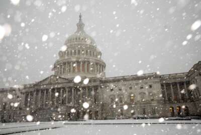 A winter storm delivers heavy snow to the Capitol in Washington, Monday, Jan. 3, 2022. (AP Photo/J. Scott Applewhite)