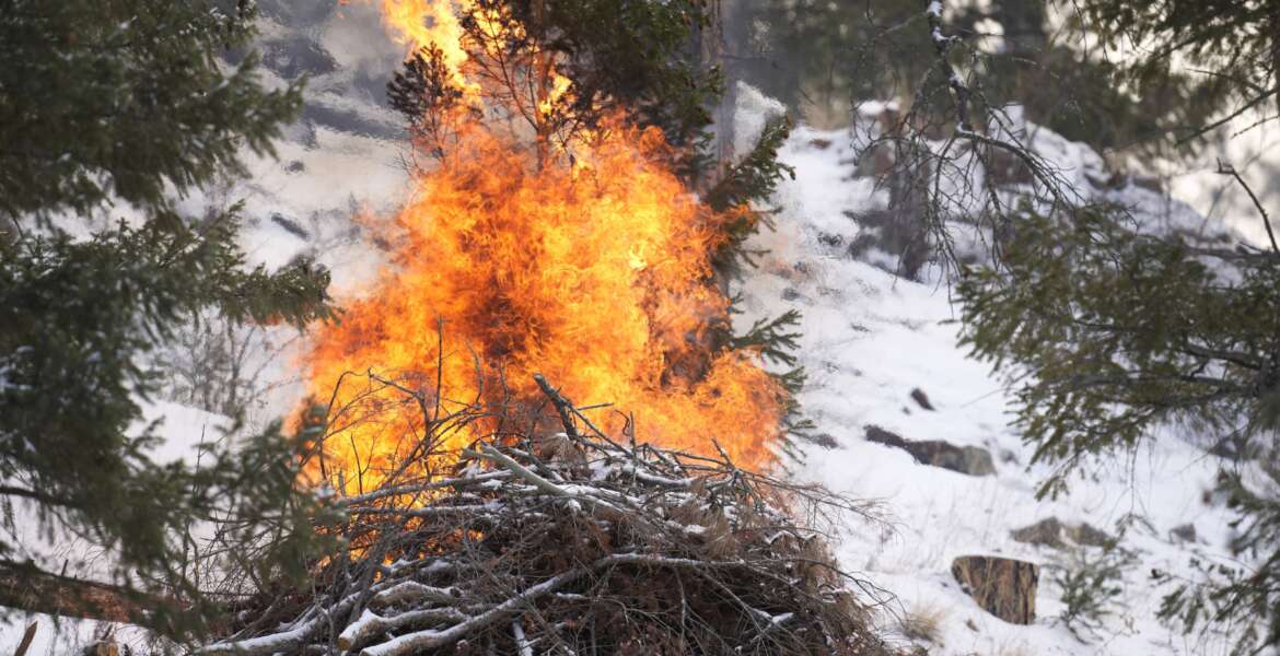 Flames rise from a pile of tree debris near the Bridge Crossing picnic grounds in Hatch Gulch Wednesday, Feb. 23, 2022, near Deckers, Colo. In Colorado, climate change means snow is not always on the ground when needed so that crews can safely burn off debris piles and vegetation to help keep future wildfires from becoming catastrophic. 
 (AP Photo/David Zalubowski)