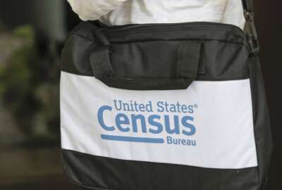 2020 Census-Noncitizens