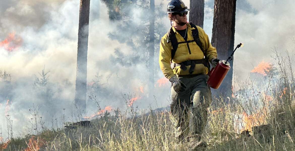 Forest service, Firefighter on a maintenance prescribed burn at Bitterroot National Forest