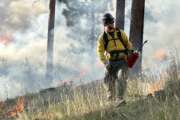 Forest service, Firefighter on a maintenance prescribed burn at Bitterroot National Forest