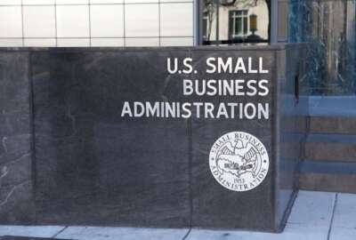 contracting, 8(a) program, Small Business Administration