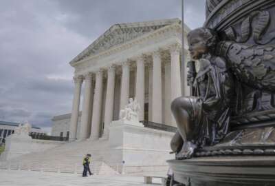Chevron Deference, Supreme Court
