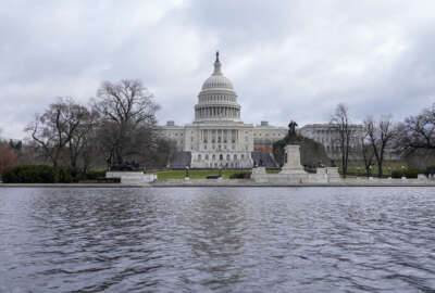 Congress, U.S. Capitol