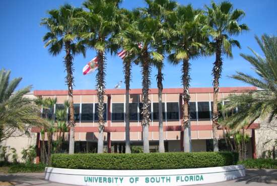 University of South Florida