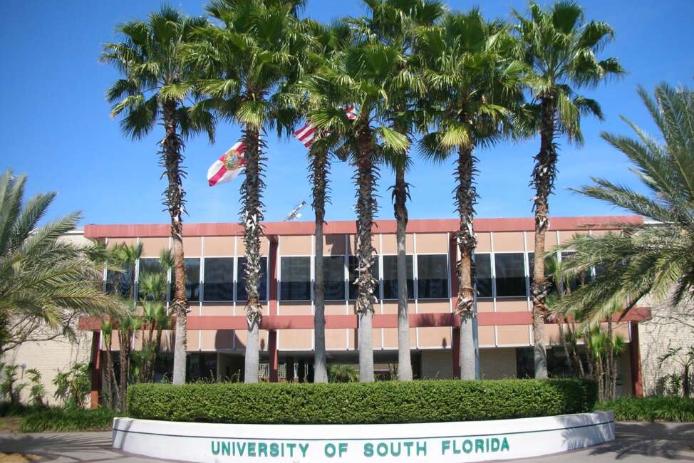 University of South Florida