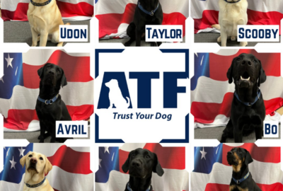 Eight K-9s graduated from the ATF Accelerant Detection Course at the ATF National Canine Academy