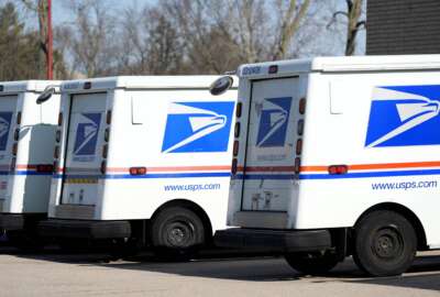 US Election 2024 Postal Service