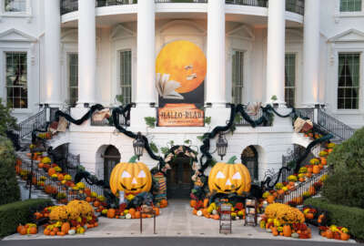 The South Portico of the White House is decorated in celebration of Halloween