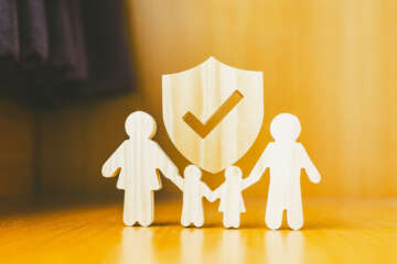 Shield protect icon and family model