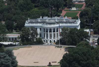 Trump Grass